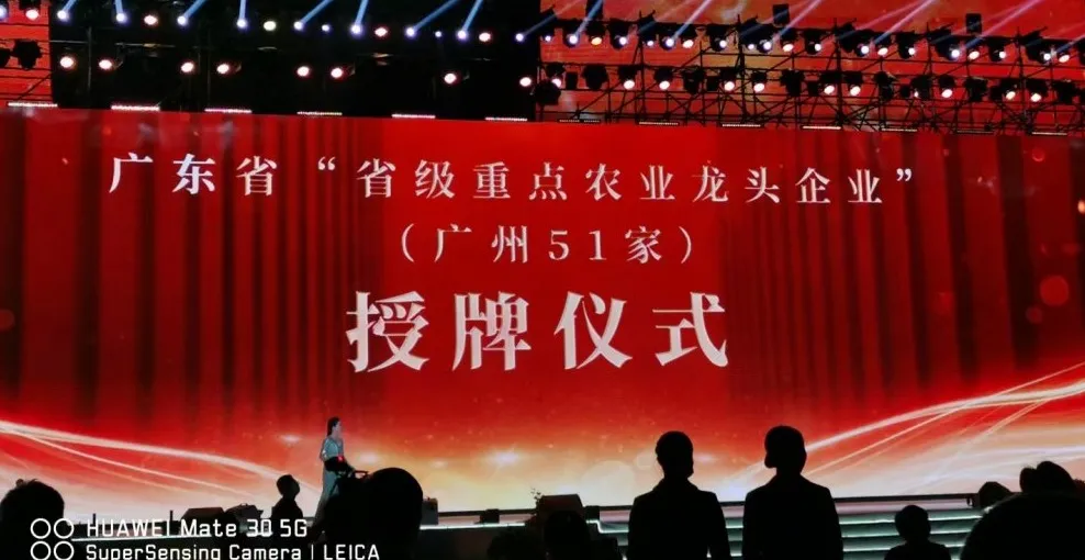 1610939231101586.jpg 1610939231101586.jpg