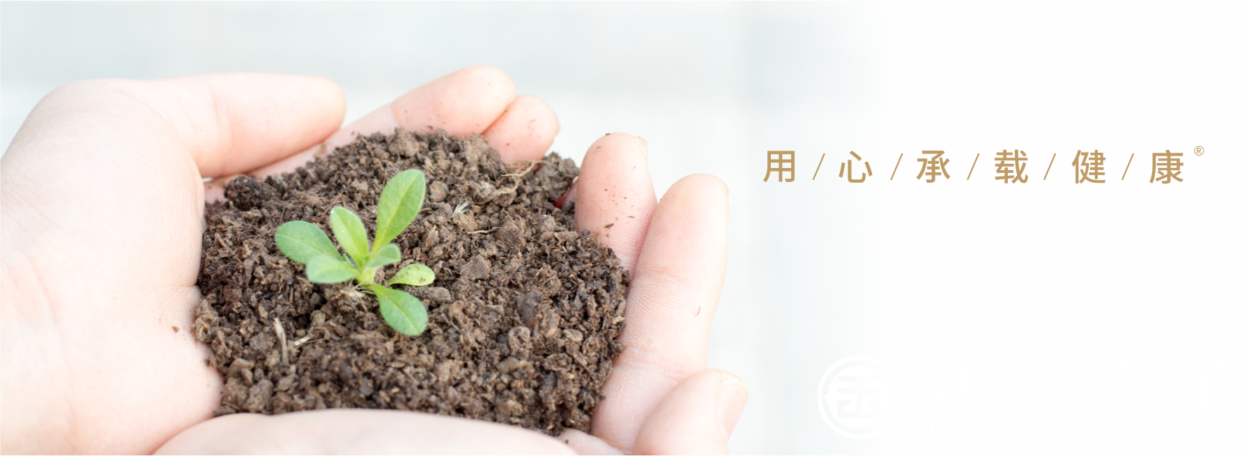 1651905463106603.png 頂關(guān)注.png