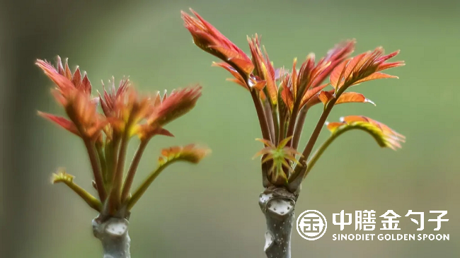 1655169292113104.png 圖片1.png