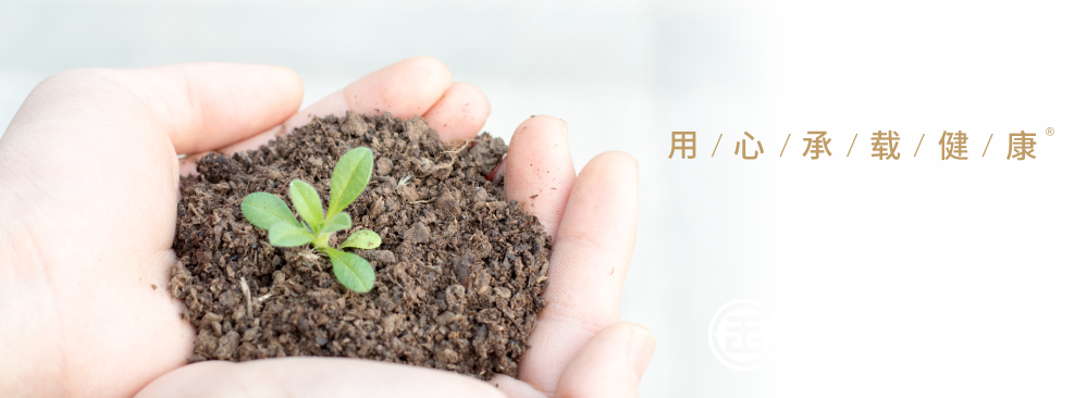 1667552261320453.png 頂關注.png